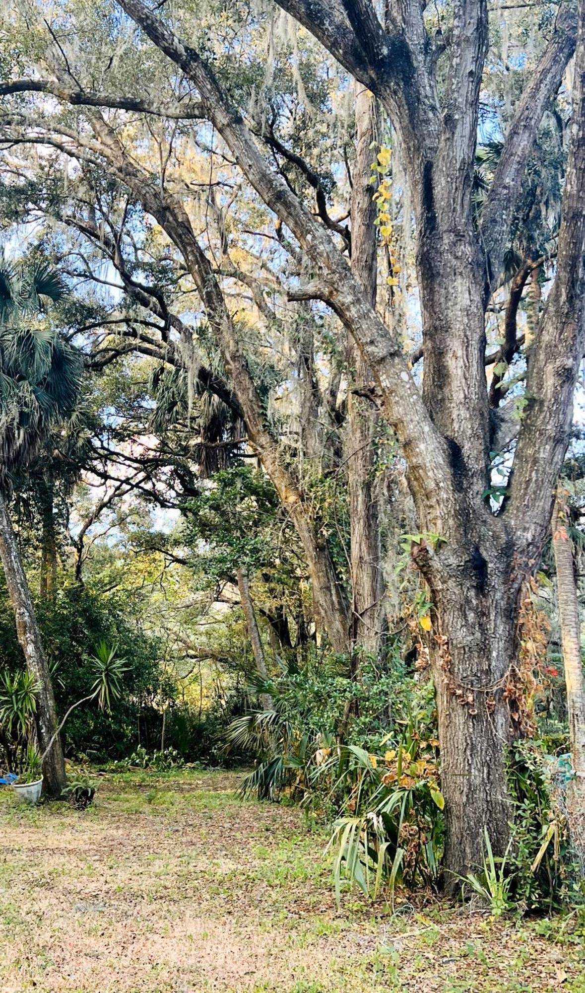 Country Welcome Micanopy Esterno foto