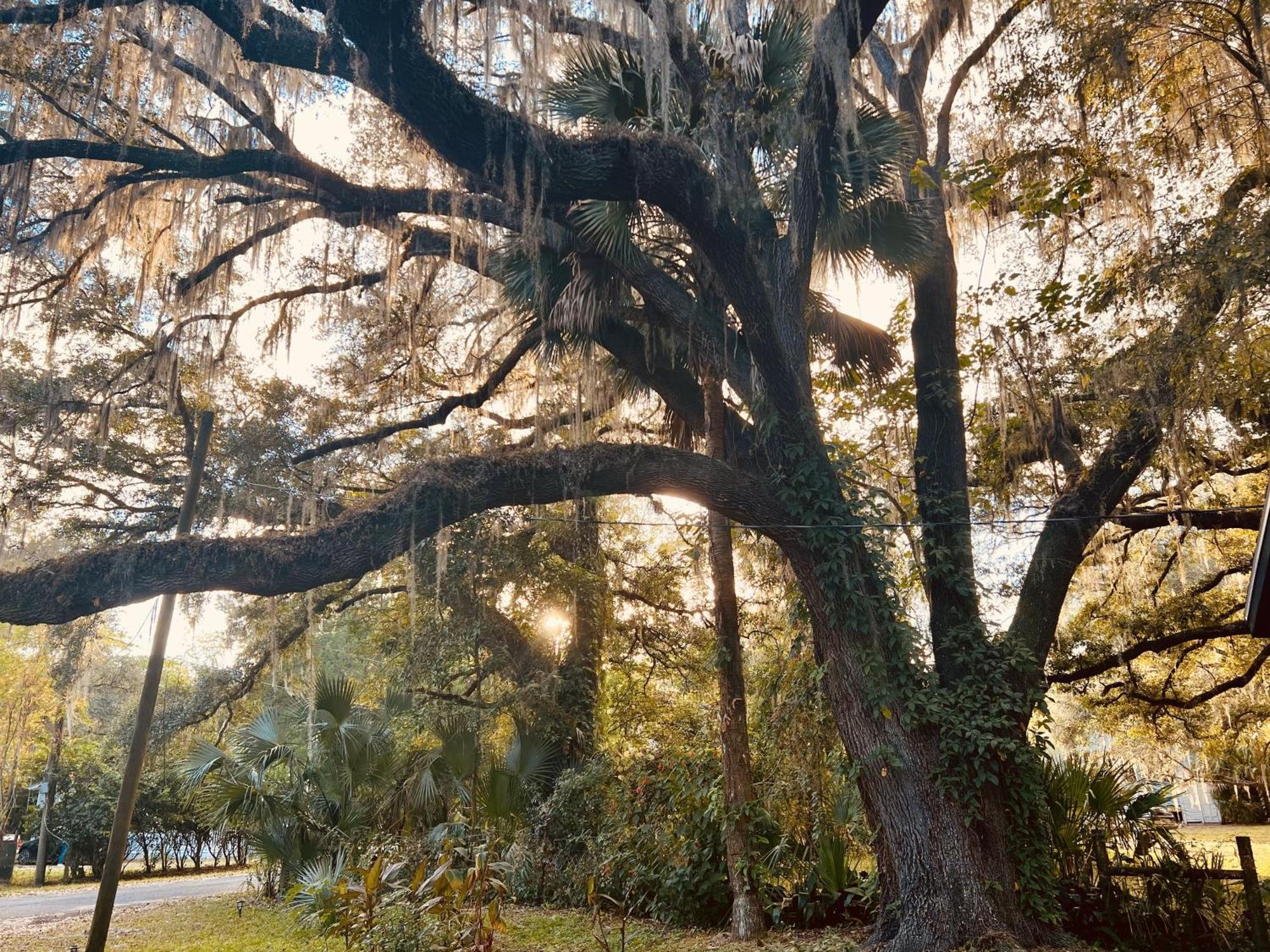 Country Welcome Micanopy Esterno foto
